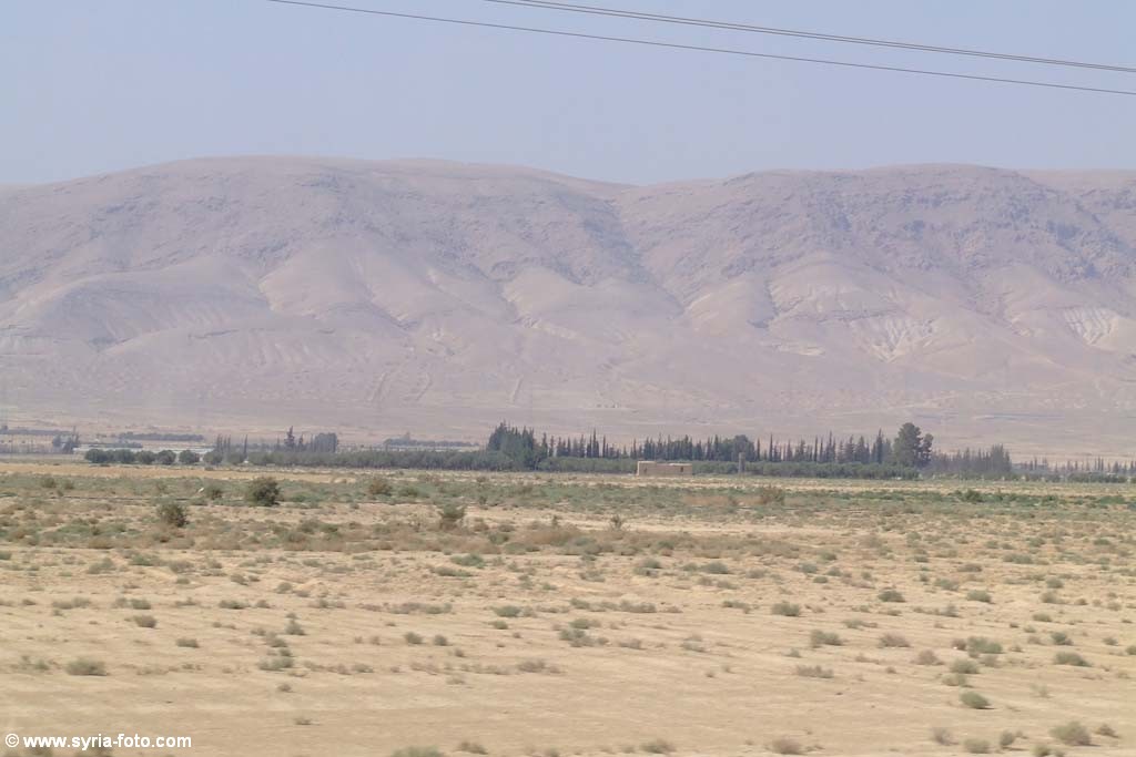 Сирийская пустыня