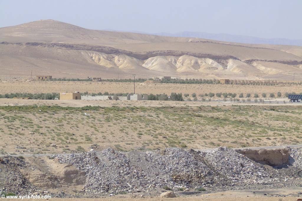 Сирийская пустыня