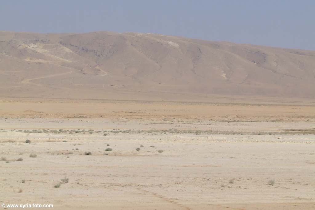 Сирийская пустыня
