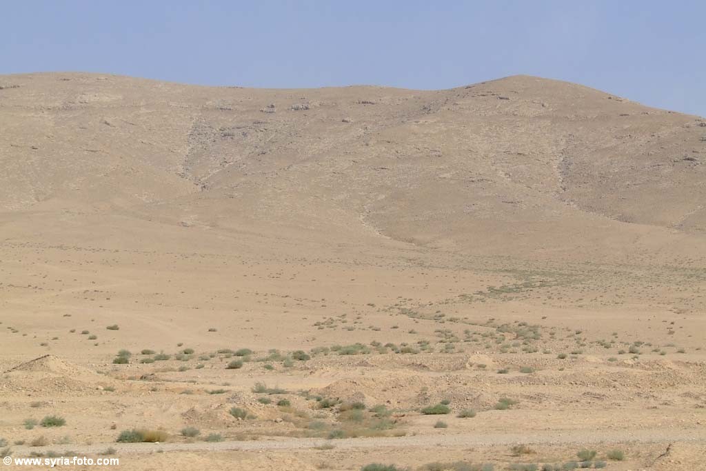 Сирийская пустыня