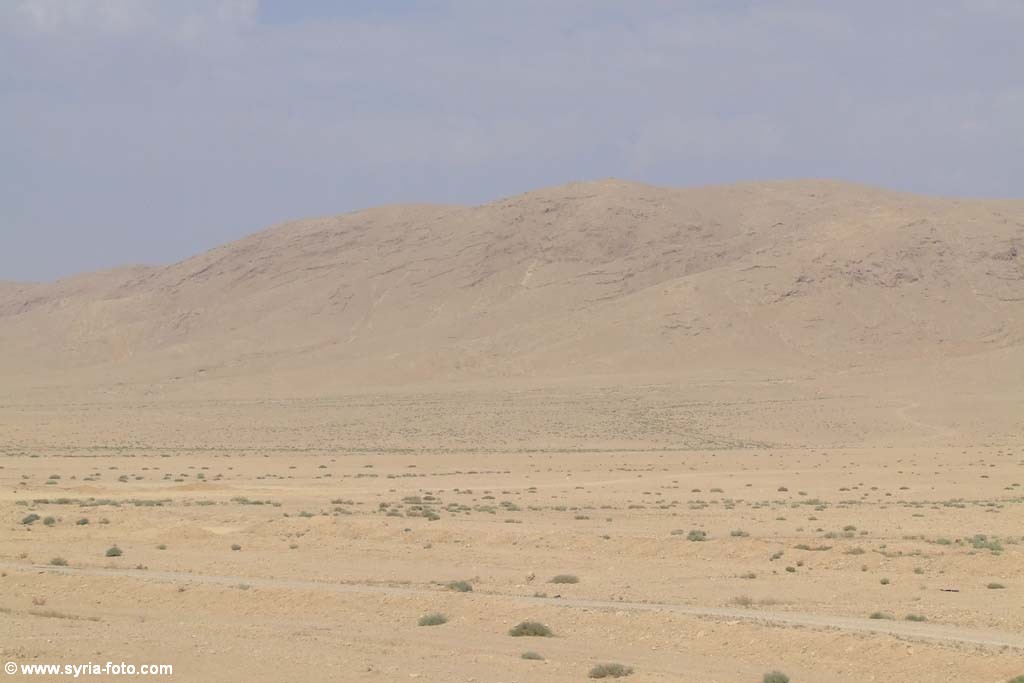 Сирийская пустыня