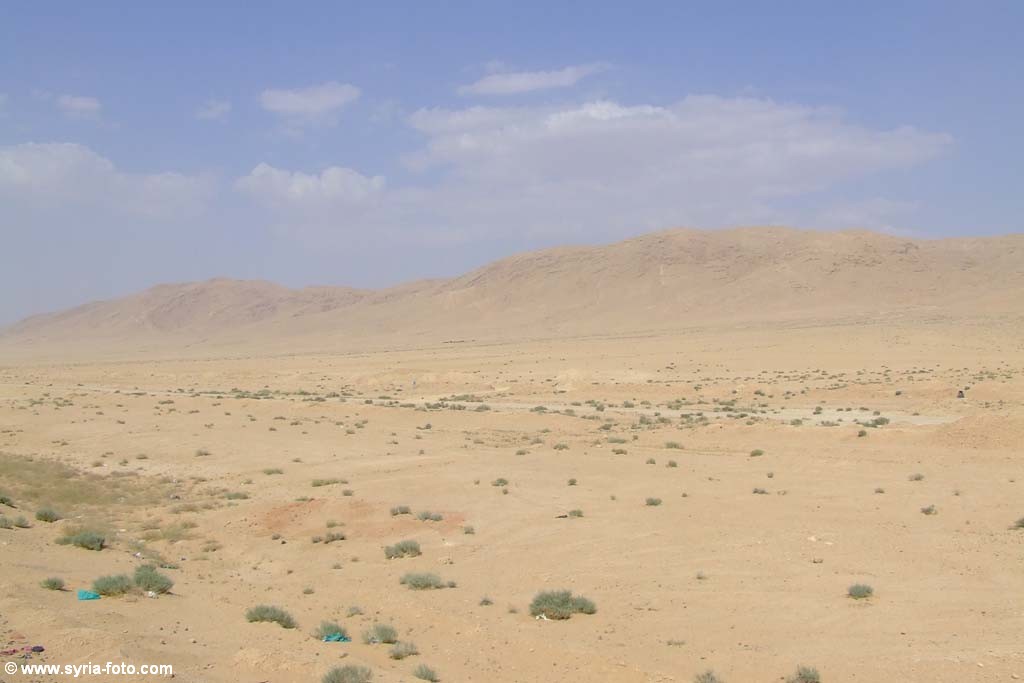 Знойная Сирийская пустыня