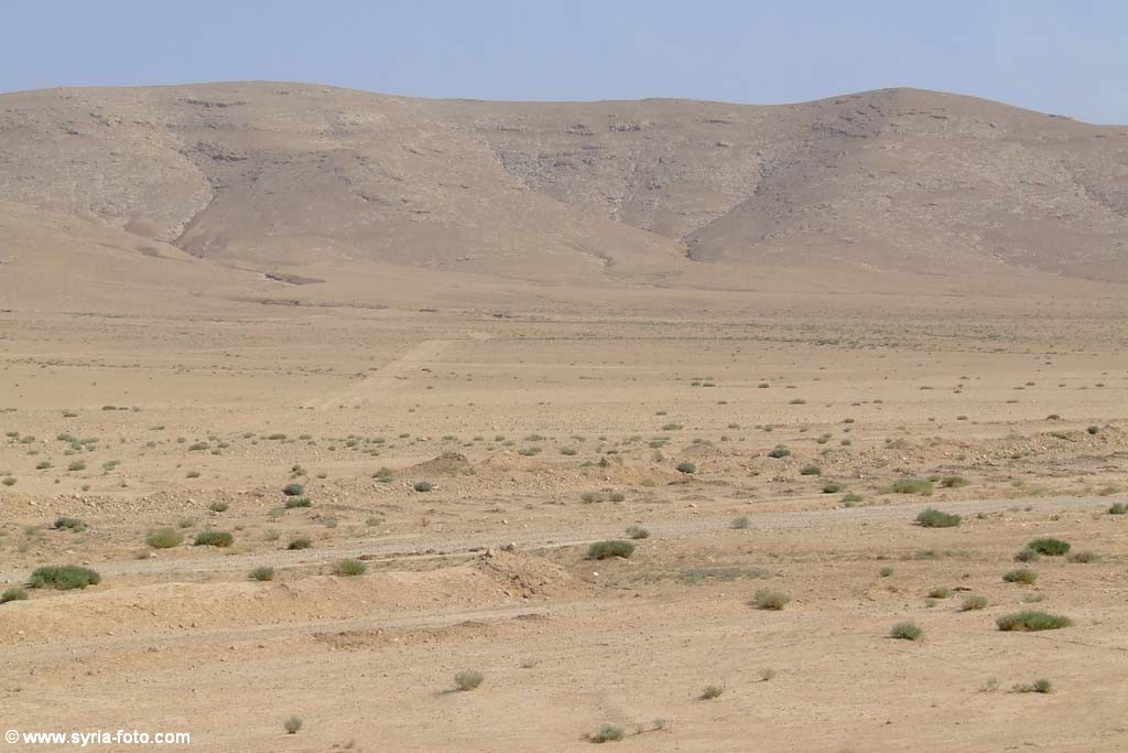 Сирийская пустыня