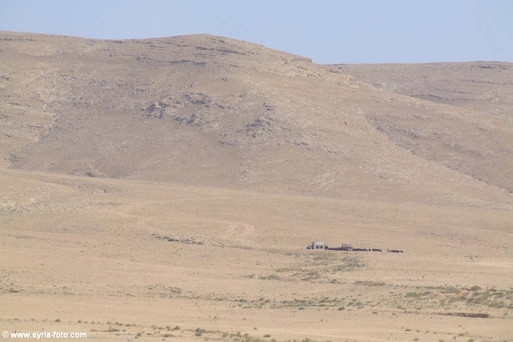 Сирийская пустыня