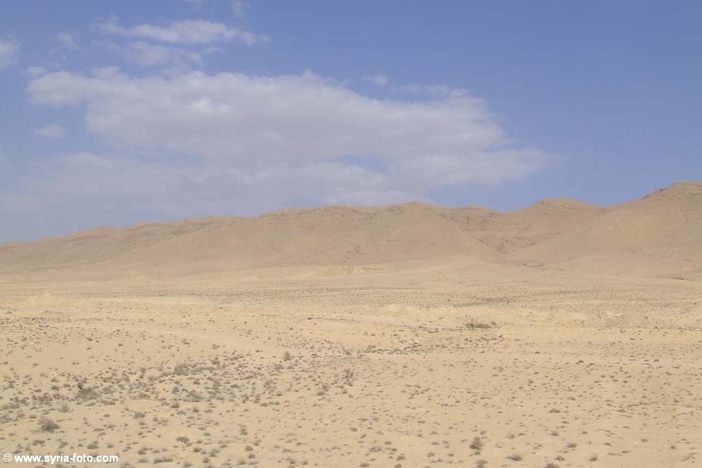 Жаркая Сирийская пустыня