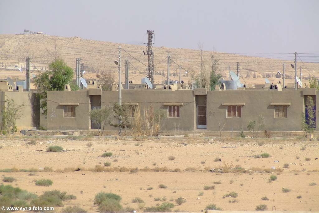 Жизнь в Сирийской пустыне