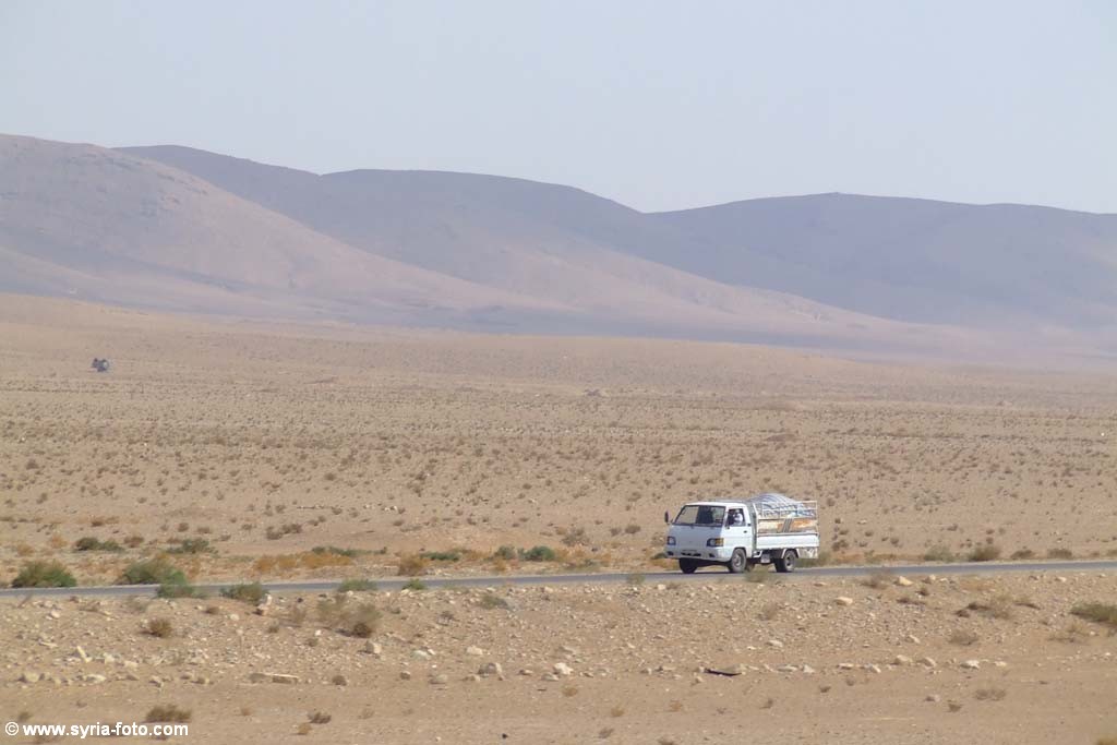 Сирийская пустыня