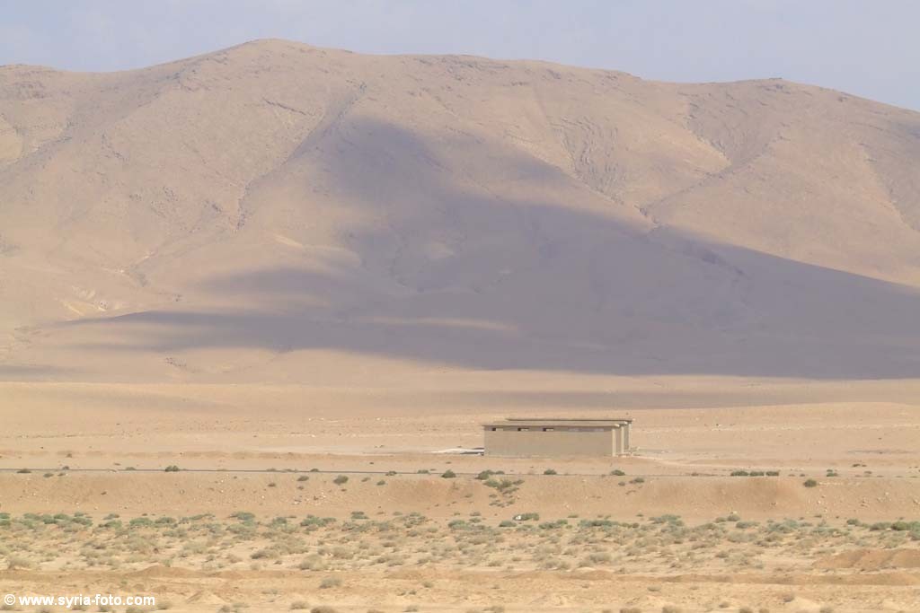 Сирийская пустыня