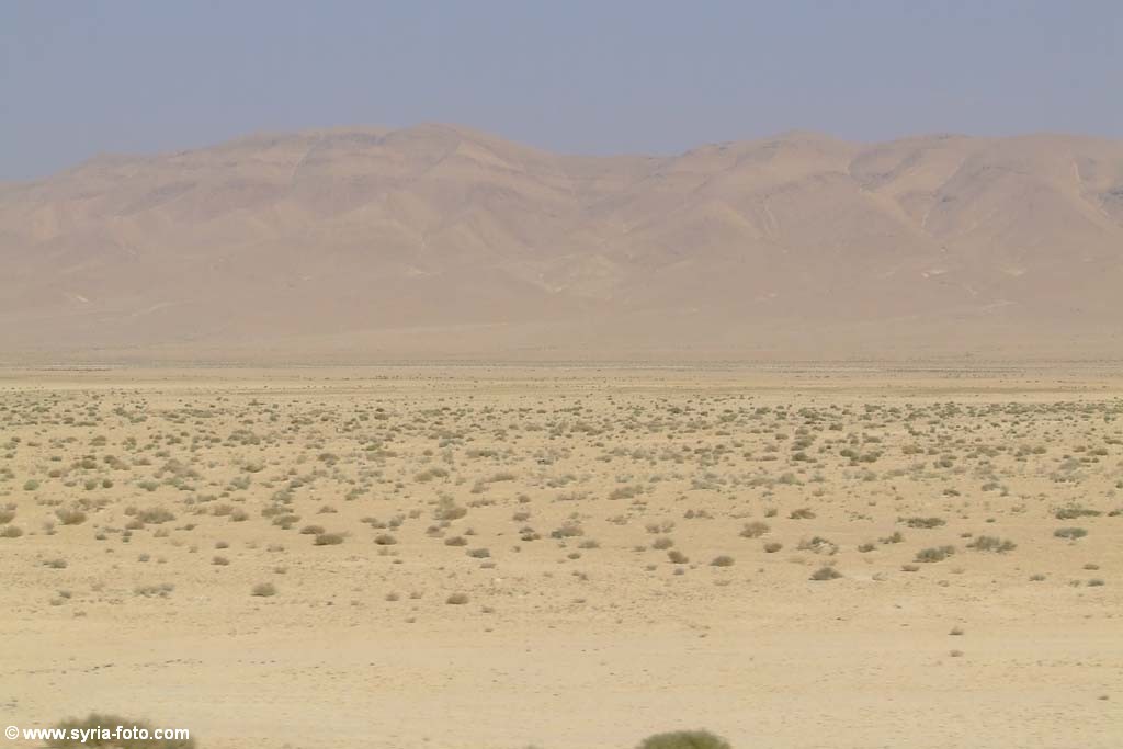 Сирийская пустыня