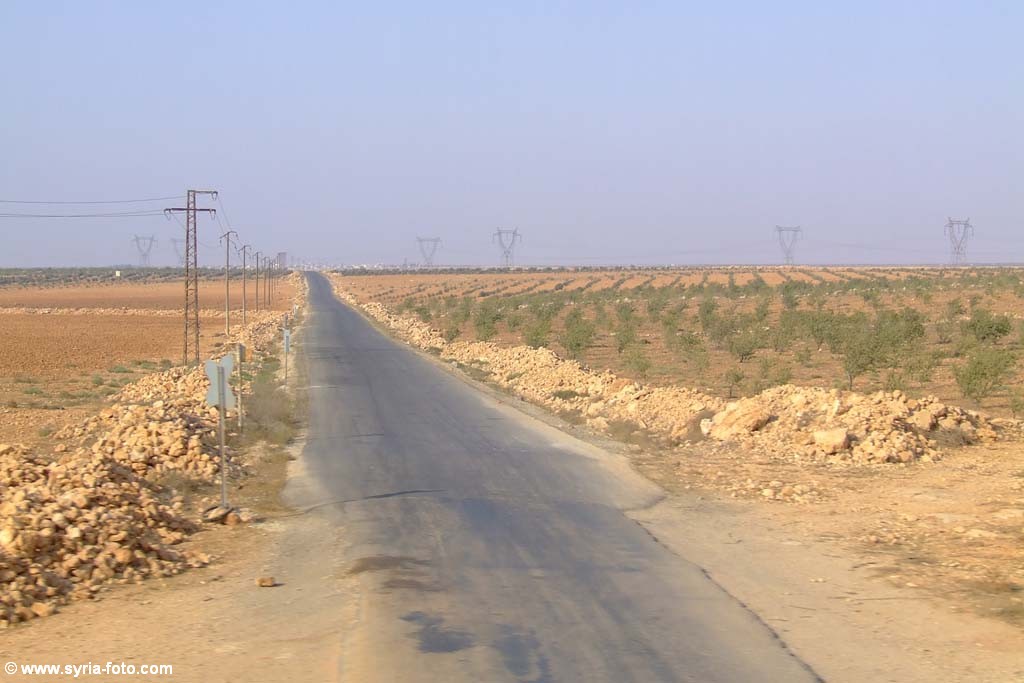 Сирийская провинция, 9 августа 2008