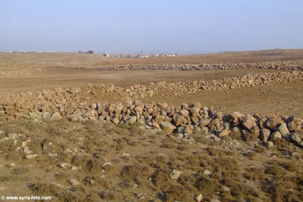 Сирийская пустыня