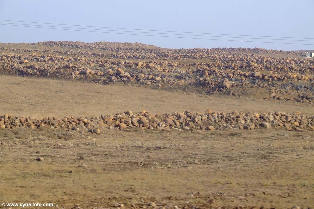 Сирийская пустыня из окна поезда