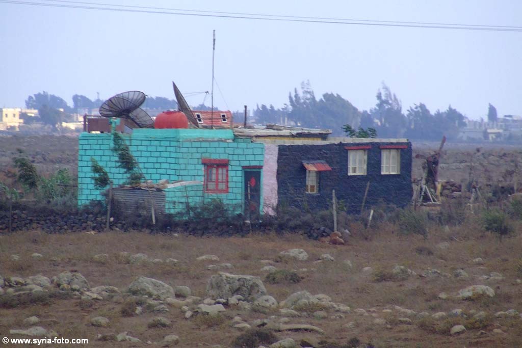 Сирийская провинция, 9 августа 2008
