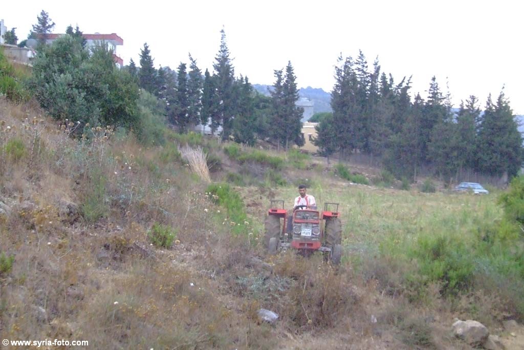 Сирийская провинция, 9 августа 2008