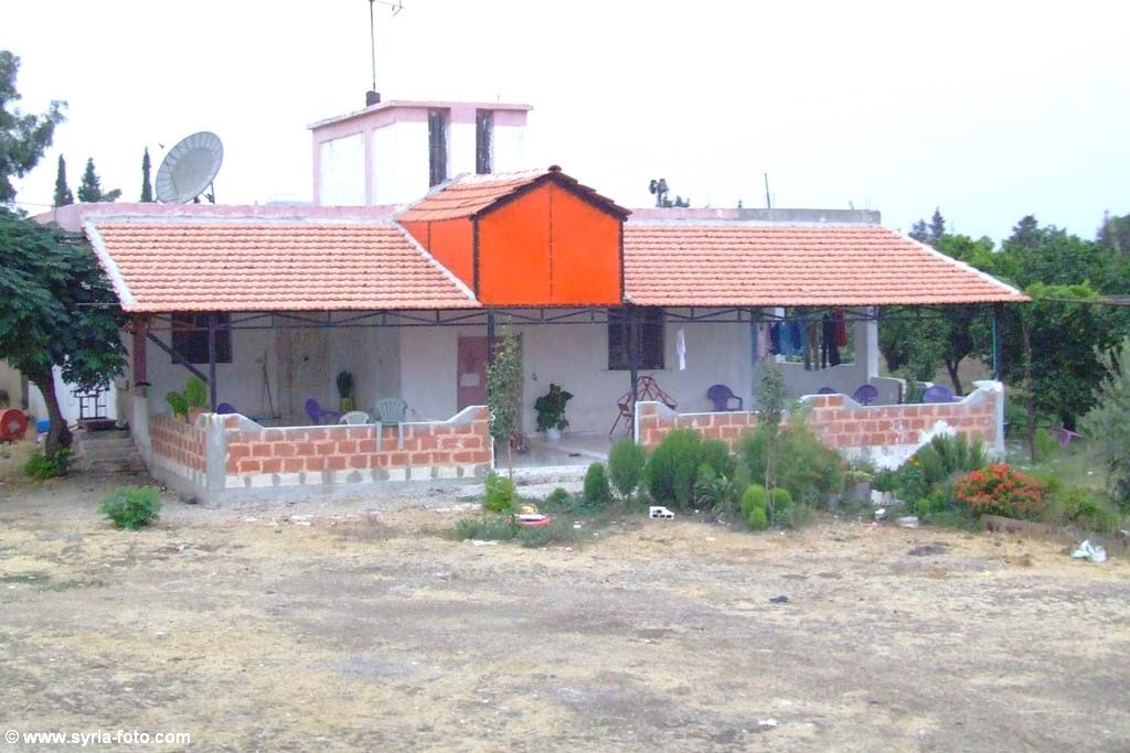 Сирийская провинция, 9 августа 2008