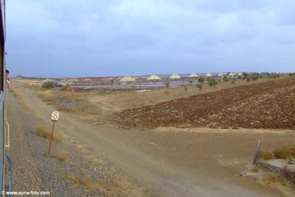 Сирийские сельхозугодья