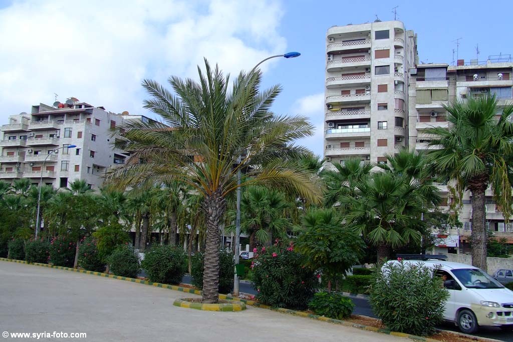 Латакия, 10 августа 2008