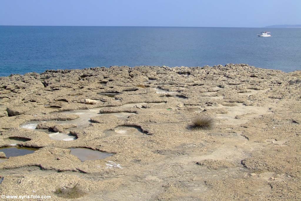 Берег Средиземного моря во время отлива